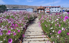 俺去也只要记得输入就能找到家